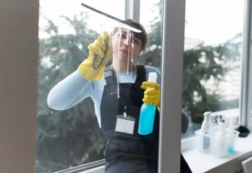 Nettoyage de vitres intérieures et extérieures à Belleneuve
